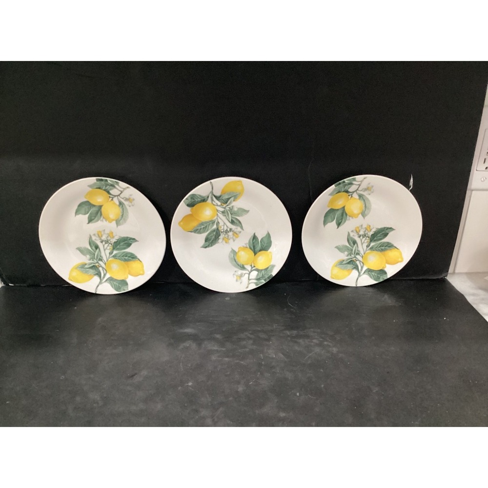 Royal Norfolk Lemon Summer Stoneware 3 Appetizer Salad Dessert Plate 7.5"